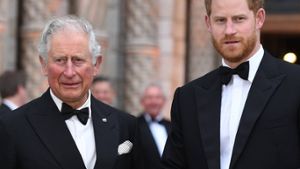 Prinz Harry: Steht im Mai ein weiteres Treffen mit Charles an?