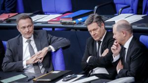 FDP-Parteitag: Die FDP windet sich