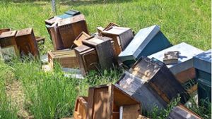 Fast kompletter Bienenstand zerstört