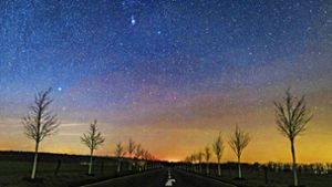 Im Dezember vorigen Jahres zeigte sich ein kleiner Teil der Milchstraße am nächtlichen Sternenhimmel in Brandenburg. Foto: dpa/Patrick Pleul