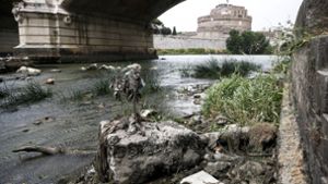 Rom steht vor einem Notstand aufgrund der anhaltenden Trockenheit und den heißen Temperaturen. Foto: dpa/Cecilia Fabiano
