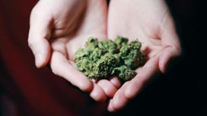 Eine Person hält getrocknete Teile einer Cannabis-Pflanze. Eine Stadt wie Esslingen könnte bei der geplanten Legalisierung zur Modellstadt werden. Foto: pexels