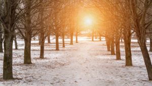 Ab dem 21.12.2024 werden die Tage wieder länger und heller. Hier finden Sie die wichtigsten Infos zur Wintersonnenwende.