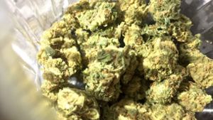 Neues Cannabis-Gesetz: Mann schmuggelte 450 Kilogramm Marihuana – Freispruch