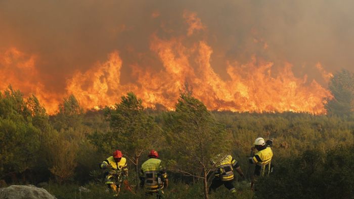 Feuer zerstört 250 Hektar Wald bei Marseille