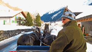 Mit zwei Pferdestärken unterwegs: Te-Huia kutschiert Urlaubsgäste durch Klosters und Umgebung. Foto: Weller