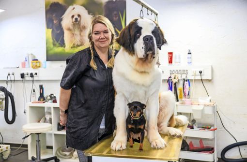 Kathrin Brox kann es mit großen und mit kleinen Hunden. Foto: Stefanie Schlecht