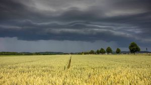 Unwetterlage in Deutschland: Starkregen, Großhagel und Böen bis Orkanstärke angekündigt Foto: imago/Bernd März