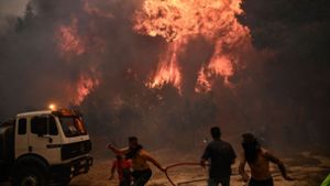 Feuerwehrmänner und Freiwillige flüchten in Chasia an den Rändern Athens vor einem Waldbrand. Foto: AFP/Angelos Tzortzinis