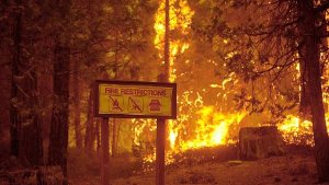 Schwere Waldbrände bedrohen den beliebte Yosemite-Naturpark in Kalifornien. Die Feuerwehr ist mit einem Großaufgebot im Einsazt. Doch die Flammen breiten sich weiter aus.  Foto: dpa