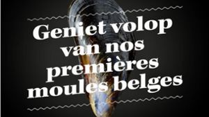 Die Belgier können nun die ersten Muscheln aus dem eigenen Land genießen, verspricht die Werbung der Einzelhandelskette Colruyt. Der Satz ist typisch belgisch, eine Mischung aus Flämisch und Französisch. Foto: Krohn/Krohn