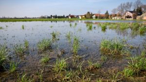 Ein Feld am Stadtrand von Leipzig steht stellenweise unter Wasser. Nach dem regenreichen Februar ist der Boden auf vielen landwirtschaftlichen Flächen durchgeweicht und lässt eine Bearbeitung kaum zu. Foto: dpa/Jan Woitas