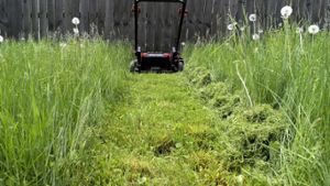 Muss das Gras an Himmelfahrt stehenbleiben? Foto: Ray Geiger / shutterstock.com