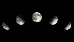 Erfahren Sie, welche Mondphase heute am Freitag, dem 03. Mai 2024 ist. Alle aktuellen Ereignisse & Mondphasen hier im Mondkalender auf einen Blick. Foto: Ptdz / Shutterstock.com