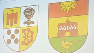 Die Abbildung einer schwarzen Person im historischen Wappen von Möhringen ist in die Kritik geraten. Nun soll es ein neues Wappenlogo geben. Foto: Alexandra Kratz