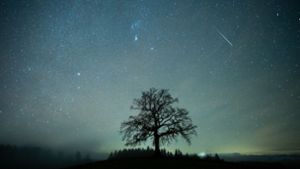Eine Sternschnuppe ist während des Ursiden-Meteteorstroms am Sternenhimmel über einem Baum beim bayerischen Münsingzu sehen. Foto: dpa/Matthias Balk