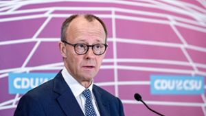 CDU-Chef Friedrich Merz sucht ein Profil für sich und seine Partei. Foto: dpa/Britta Pedersen