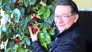 Josue Ruiz steht neben einer Kaffeepflanze mit reifen Früchten –  sie wächst in Degerloch in einem Büro. Foto: Caroline Holowiecki