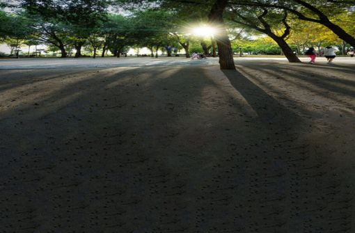 Der La-Montana- Park: Die Madrider wissen ihre Bäume als Schattenspender zu schätzen. Foto: imago/Panthermedia/sergiodv