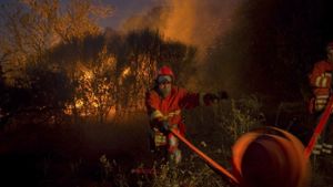 Die feuer in Südfrankreich sollen von mutmaßlichen Brandstiftern gelegt worden sein. Foto: AP