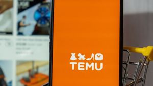 Die Shopping-Plattform Temu hat in den vergangenen Monaten für viel Aufsehen gesorgt. Foto: yanishevska/Shutterstock.com