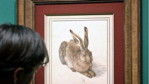 Ein Besucher in der Wiener Albertina bewundert Dürers berühmten Hasen. Foto: dpa/Herbert Neubauer