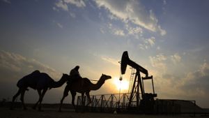 Opec will Ölpreis in die Höhe treiben