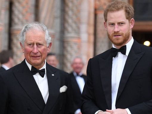 Im Mai soll es ein weiteres kurzes Treffen zwischen Prinz Harry und König Charles III. geben. Foto: imago images/PA Images