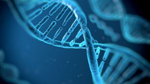 Die DNA gleicht einer verdrehten Strickleiter. Foto: vitstudio - Fotolia