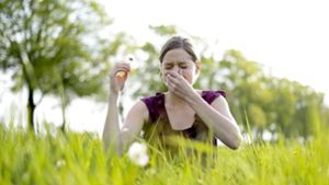 Bei einer Pollenallergie kribbelt oft die Nase. Foto: imago