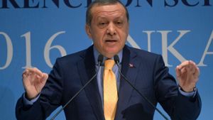 Türkei verlängert Ausnahmezustand