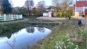 Im Stadtteil Sydhavnen ist ein großer Park mit einem See entstanden – dorthin wird bei einem Wolkenbruch viel Wasser aus den umliegenden Wohnquartieren gepumpt. Foto: Faltin