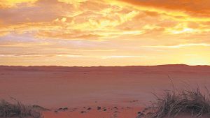 Großes Drama: Sonnenuntergang über der Dünenlandschaft bei Gobabeb. Foto: Betz