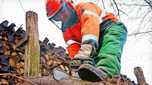 Hohe Nachfrage im Kreis Esslingen: Der Hype ums Brennholz hält weiter an