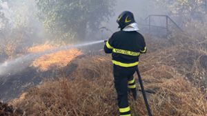 Ein Feuerwehrmann löscht einen Waldbrand nahe der Gemeinde  Vicari bei Palermo auf Sizilien. Foto: Vigili del Fuoco/dp/a