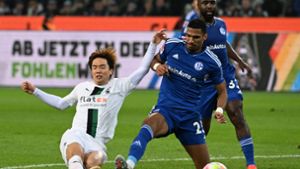 Schalke machte im Abstiegskampf wieder nicht wirklich Fortschritte. Foto: dpa/Federico Gambarini