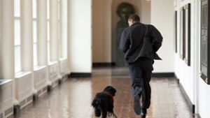 Pete Souza, der offizielle Fotograf der Obama-Regierung, hat ikonische Fotos von Bo und den Obamas aufgenommen. Foto: AFP/Pete SOUZA