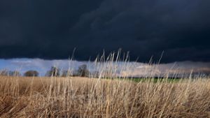 Gewitterwolken ziehen über ein Feld: Das Wetter am Abend ist durchwachsen. Foto: Karl-Josef Hildenbrand/dpa