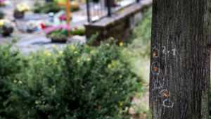 Tatort Friedhof in Altbach: Spuren des Anschlags an einem Baum. Foto: Ines Rudel/Ines Rudel