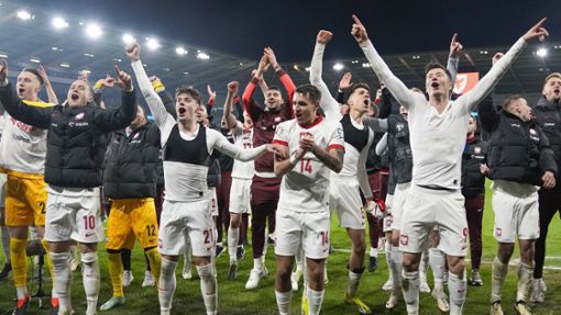 Die polnische Mannschaft feiert ihren Sieg in Cardiff gegen Wales. Foto: dpa/Alastair Grant