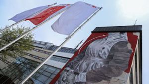 In Bad Cannstatt entsteht ein riesiges Gemälde einer Krankenschwester. Foto: LICHTGUT/Zophia Ewska