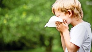 Jedes zehnte Kind ist allergisch gegen Pollen. Foto: Robert Kneschke/Adobe Stock