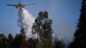 Portugal hat mit Waldbränden zu kämpfen – hier ein Löschflugzeug vor wenigen Tagen Foto: AFP/PATRICIA DE MELO MOREIRA