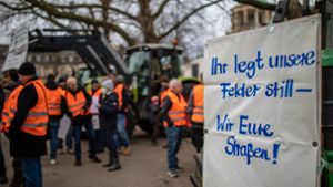 Die Bauern protestieren gegen die Sparpläne der Bundesregierung. (Archivbild) Foto: dpa/Christoph Schmidt