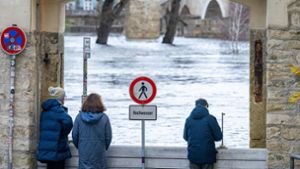 Die Donau führt an der Steinernen Brücke in Regensburg Hochwasser. Foto: dpa/Armin Weigel
