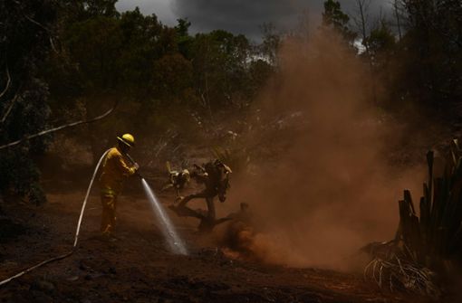 Die Feuerwehr kann die Brände auf Maui langsam eindämmen. Foto: AFP/Patrick T. Fallon