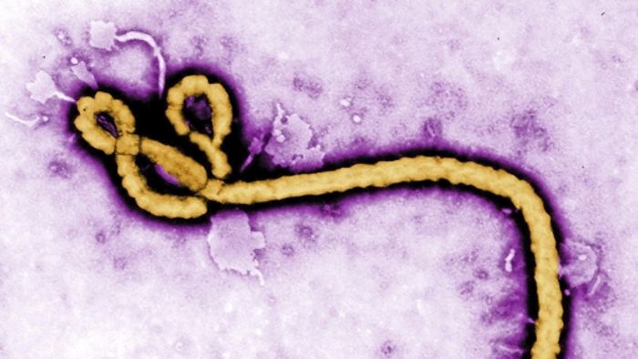 Ebola-Impfstoff wird im Gabun getestet