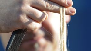 Spitzen Schneiden beschleunigt den Haarwuchs – dieser Tipp ist weit verbreitet. Aber stimmt das auch? Foto: dpa