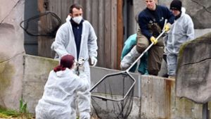 Nach einem Vogelgrippe-Nachweis bleibt der Zoo in  Karlsruhe für Besucher geschlossen. Eiderenten und Zwergsäger werden in einem Becken gefangen, um sie nach drinnen zu bringen. (Archivbild) Foto: dpa/Uli Deck