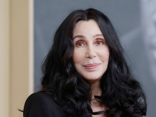 Cher: Ihr Antrag wurde vor Gericht abgelehnt. Foto: Joe Seer/Shutterstock.com